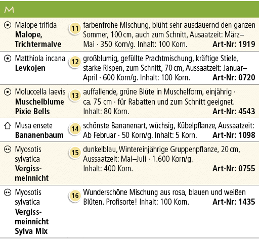 M,￼,Malope trifida Malope, Trichtermalve,￼,farbenfrohe Mischung, bl ht sehr aus­dauernd den ganzen Sommer, 100 cm, au...