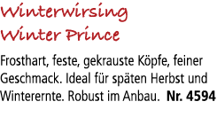 Winterwirsing Winter Prince Frosthart, feste, gekrauste K pfe, feiner Geschmack. Ideal f r sp ten Herbst und Winterer...