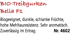 BIO Treibgurken Bella F1 Biogeeignet, dunkle, schlanke Fr chte, hohe Mehltauresistenz. Sehr aromatisch. Zuverl ssig i...
