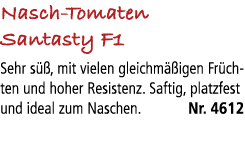 Nasch Tomaten Santasty F1 Sehr s , mit vielen gleichm  igen Fr chten und hoher Resistenz. Saftig, platzfest und idea...