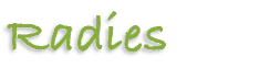 Radies