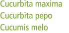 Cucurbita maxima Cucurbita pepo Cucumis melo