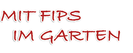 Mit Fips im Garten