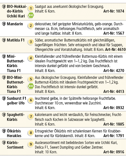 ￼,BIO Hokkaido K rbis Uchiki Kuri,￼ ￼,Saatgut aus anerkannt kologischer Erzeugung. Inhalt: 6 Korn. Art Nr: 1074,￼,Ma...