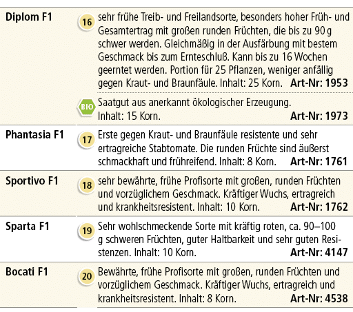Diplom F1,￼,sehr fr he Treib und Freilandsorte, besonders hoher Fr h und Gesamtertrag mit gro en runden Fr chten, die...