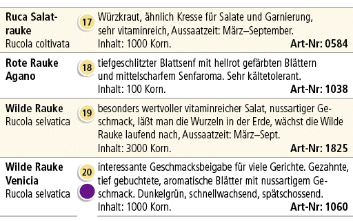 Ruca Salat­rauke Rucola coltivata,￼,W rzkraut, hnlich Kresse f r Salate und Garnierung, sehr vitaminreich, Aussaatze...