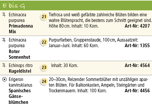 E bis G,￼,Echinacea purpurea Primadonna Mix,￼,Tiefrosa und wei gef rbte zahlreiche Bl ten bilden eine wahre Bl tenpr...