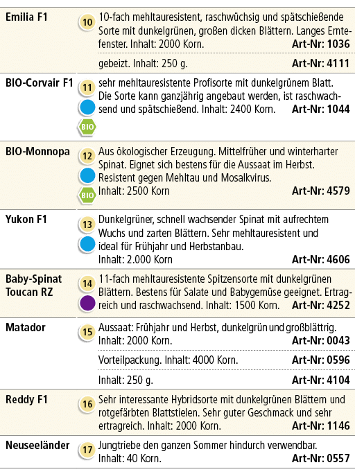 Emilia F1,￼,10 fach mehltauresistent, raschw chsig und sp t­schie ende Sorte mit dunkelgr nen, gro en dicken Bl ttern...