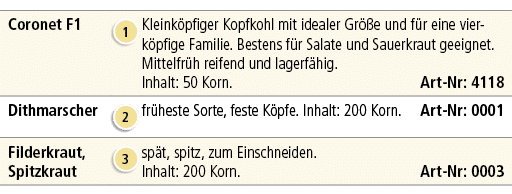 Coronet F1,￼,Kleink pfiger Kopfkohl mit idealer Gr e und f r eine vierk pfige Familie. Bestens f r Salate und Sauerk...