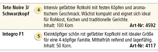 Tete Noire 3/Schwarzkopf,￼,Intensiv gef rbter Rotkohl mit festen K pfen und aromatischem Geschmack. W chst kompakt un...