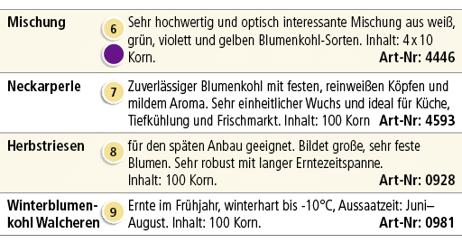 Mischung,￼ ￼,Sehr hochwertig und optisch interessante Mischung aus wei , gr n, violett und gelben Blumenkohl Sorten. ...