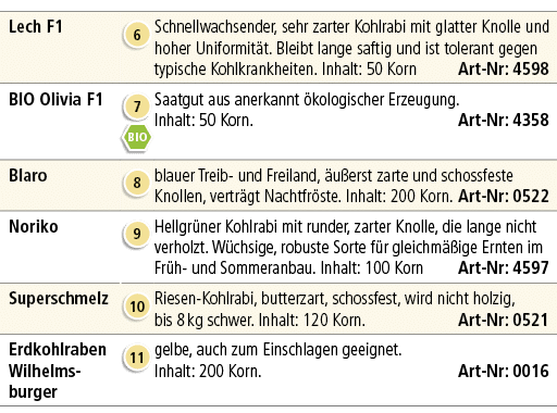 Lech F1,￼,Schnellwachsender, sehr zarter Kohlrabi mit glatter Knolle und hoher Uniformit t. Bleibt lange saftig und i...