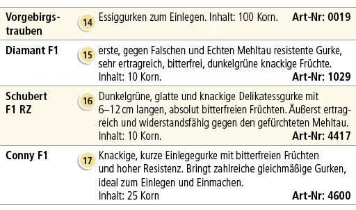 Vorgebirgs­trauben,￼,Essiggurken zum Einlegen. Inhalt: 100 Korn. Art Nr: 0019,Diamant F1,￼,erste, gegen Falschen und ...