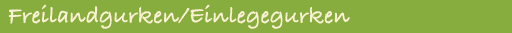 Freilandgurken/Einlegegurken