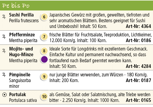 Pe bis Po,,,￼,Sushi Perilla Perilla frutescens,￼,Japanisches Gew rz mit gro en, gewellten, tiefroten und sehr aromati...