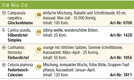 Ca bis Ce,,￼,Campanula carpatica Glockenblume,￼,einfache Mischung, Rabatte und Schnittstaude, 45 cm, Aussaat: Mai–Jul...