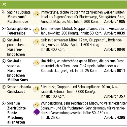 S,￼,Sagina subulata Mastkraut/ Plattenmoos,￼,immergr ne, dichte Polster mit zahlreichen wei en Bl ten. Ideal als Fuge...