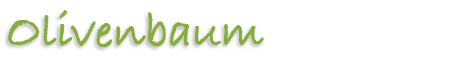 Olivenbaum