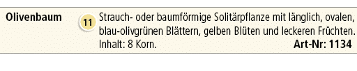 Olivenbaum,￼,Strauch oder baumf rmige Solit rpflanze mit l nglich, ovalen, blau olivgr nen Bl ttern, gelben Bl ten un...