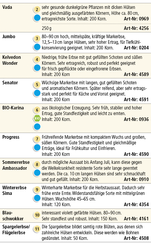 Vada,￼ ￼,sehr gesunde dunkelgr ne Pflanzen mit dicken H lsen und gleichm ig ausgef rbten K rnern, H he ca. 80 cm, er...