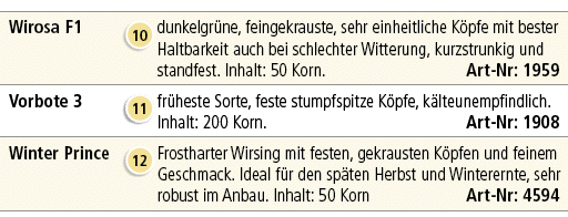 Wirosa F1,￼,dunkelgr ne, feingekrauste, sehr einheitliche K pfe mit bester Haltbarkeit auch bei schlechter Witterung,...