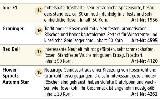 Igor F1,￼,mittelsp te, frostharte, sehr ertragreiche Spitzensorte, besonders standfest, ca. 80 cm hoch, dunkelgr ne, ...