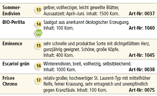 Sommer Endivien,￼,gelber, vollherziger, leicht gewellte Bl tter, Aussaatzeit: April–Juni. Inhalt: 1500 Korn. Art Nr: ...