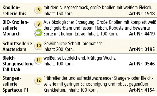 Knollen sellerie Ibis,￼,mit dem Nussgeschmack, gro e Knollen mit wei em Fleisch. Inhalt: 150 Korn. Art Nr: 1918,BIO K...