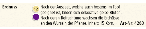 Erdnuss,￼ ￼,Nach der Aussaat, welche auch bestens im Topf geeignet ist, bilden sich dekorative gelbe Bl ten. Nach der...
