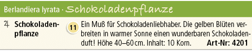 Berlandiera lyrata · Schokoladenpflanze,￼,Schokoladen pflanze,￼,Ein Mu f r Schokoladenliebhaber. Die gelben Bl ten v...