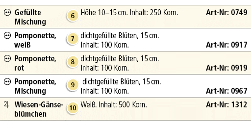 ￼,Gef llte Mischung,￼,H he 10–15 cm. Inhalt: 250 Korn. Art Nr: 0749,￼,Pomponette, wei ,￼,dichtgef llte Bl ten, 15 cm....