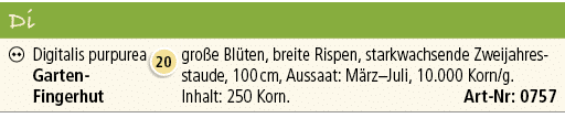 Di,￼,Digitalis purpurea Garten Fingerhut,￼,gro e Bl ten, breite Rispen, starkwachsende Zweijahresstaude, 100 cm, Auss...