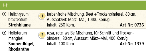 H,,,￼,Helichrysum bracteatum Strohblume,￼,farbenfrohe Mischung, Beet + Trockenbinderei, 80 cm, Aussaatzeit: M rz–Mai,...