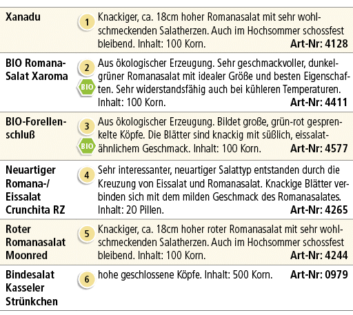 Xanadu,￼,Knackiger, ca. 18cm hoher Romanasalat mit sehr wohlschmeckenden Salatherzen. Auch im Hochsommer schossfest b...