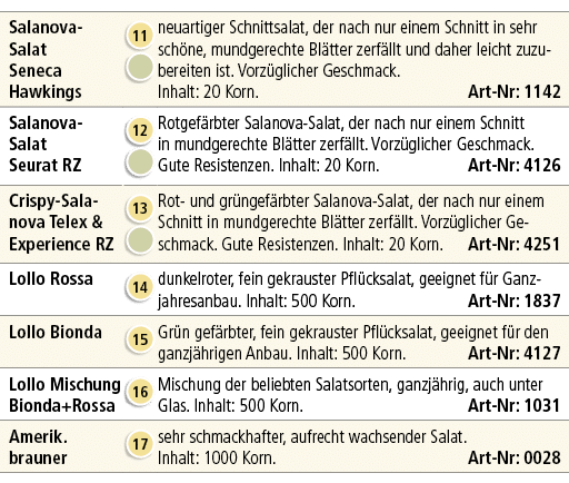 Salanova Salat Seneca Hawkings,￼ ￼,neuartiger Schnittsalat, der nach nur einem Schnitt in sehr sch ne, mundgerechte B...