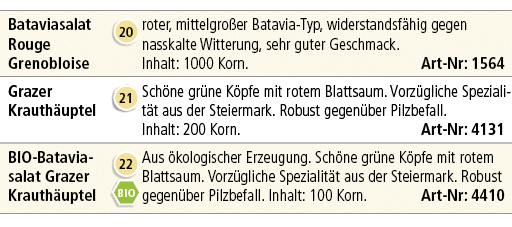 Bataviasalat Rouge Grenobloise,￼,roter, mittelgro er Batavia Typ, widerstandsf hig gegen nasskalte Witterung, sehr gu...