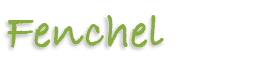 Fenchel