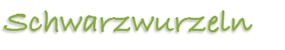 Schwarzwurzeln