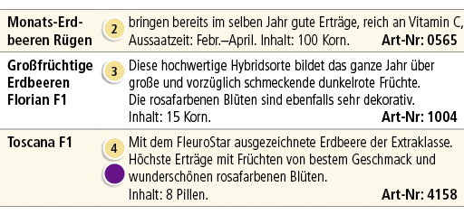 Monats Erd beeren R gen,￼,bringen bereits im selben Jahr gute Ertr ge, reich an Vitamin C, Aussaatzeit: Febr.–April. ...