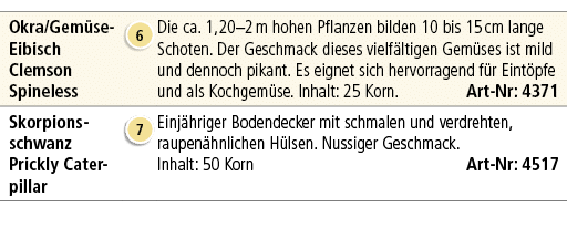 Okra/Gem se Eibisch Clemson Spineless,￼,Die ca. 1,20–2 m hohen Pflanzen bilden 10 bis 15 cm lange Schoten. Der Geschm...