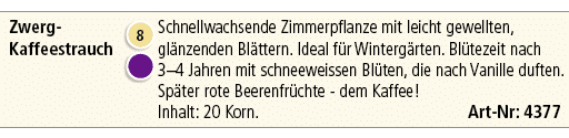 Zwerg Kaffeestrauch,￼ ￼,Schnellwachsende Zimmerpflanze mit leicht gewellten, gl nzenden Bl ttern. Ideal f r Winterg r...
