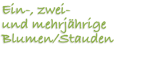 Ein , zwei und mehrj hrige Blumen/Stauden