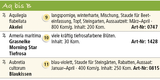 Aq bis B,￼,Aquilegia flabellata Akelei,￼,langspornige, winterharte, Mischung, Staude f r Beet­einfassung, Topf, Stein...