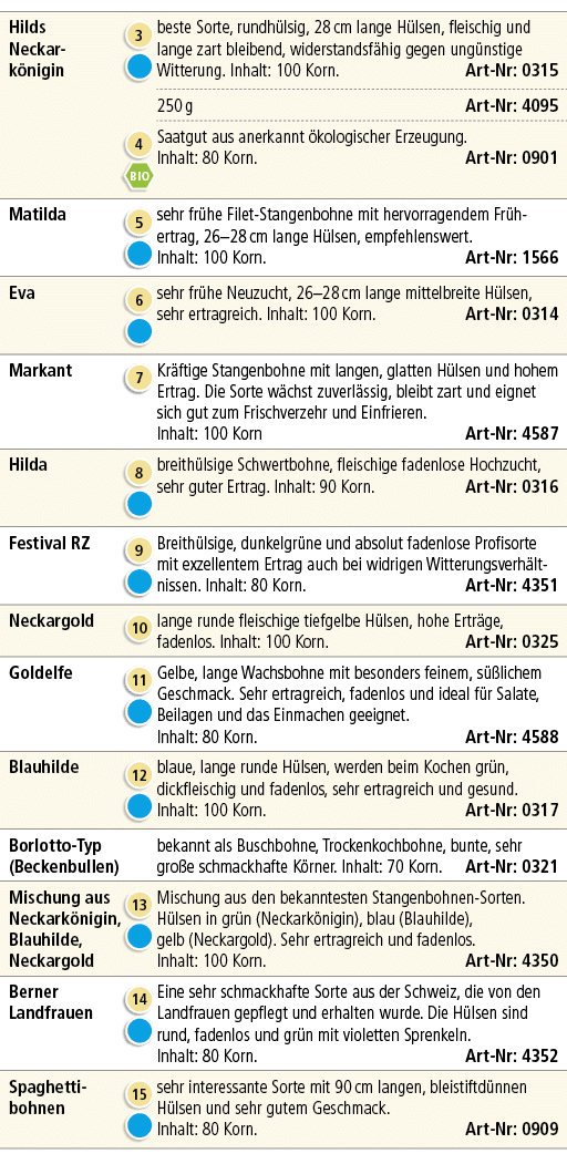 Hilds Neckar k nigin,￼ ￼,beste Sorte, rundh lsig, 28 cm lange H lsen, fleischig und lange zart bleibend, widerstandsf...