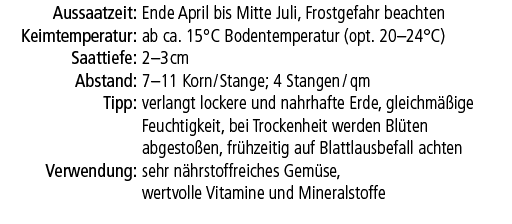 Aussaatzeit:,Ende April bis Mitte Juli, Frostgefahr beachten,Keimtemperatur:,ab ca. 15°C Bodentemperatur (opt. 20–24°...