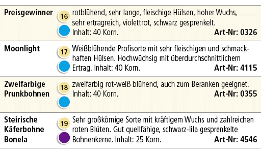 Preisgewinner ,￼ ￼,rotbl hend, sehr lange, fleischige H lsen, hoher Wuchs, sehr ertragreich, violettrot, schwarz gesp...