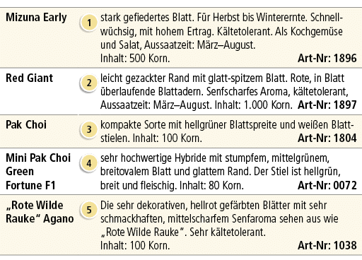 Mizuna Early,￼,stark gefiedertes Blatt. F r Herbst bis Winterernte. Schnellw chsig, mit hohem Ertrag. K ltetolerant. ...