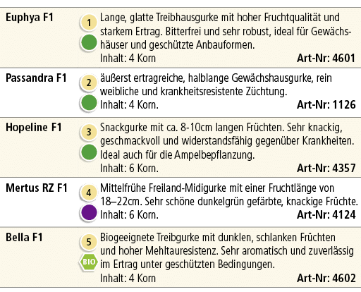 Euphya F1,￼ ￼,Lange, glatte Treibhausgurke mit hoher Fruchtqualit t und starkem Ertrag. Bitterfrei und sehr robust, i...