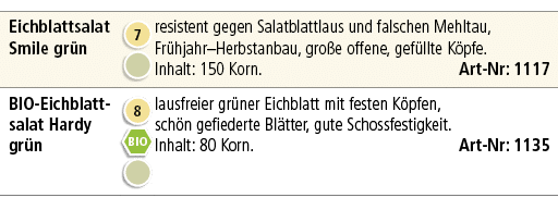Eichblatt­salat Smile gr n,￼ ￼,resistent gegen Salatblattlaus und falschen Mehltau, Fr hjahr–Herbstanbau, gro e offen...
