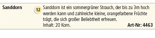 Sanddorn,￼,Sanddorn ist ein sommergr ner Strauch, der bis zu 3m hoch werden kann und zahlreiche kleine, orangefarbene...